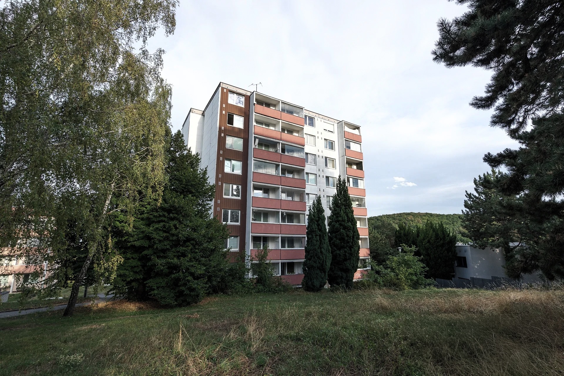 Fotografie před úpravou